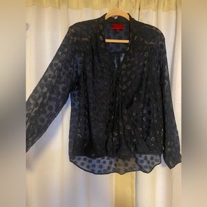Sheer Blue Polkadot Top